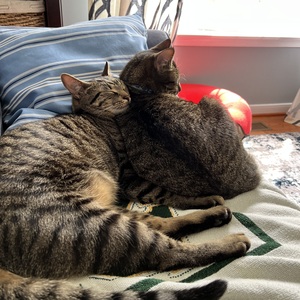 Fundraising Page: Amanda Jacoby